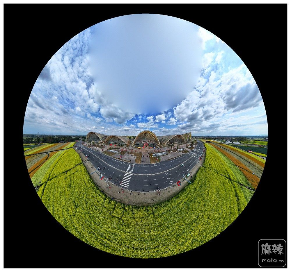 dji_export_20260302_163140_1772440300250_sphere_screenshot.jpg