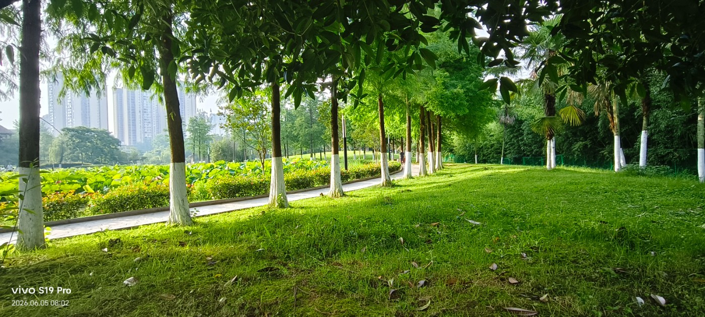 ΢��ͼƬ_20260606051841.jpg