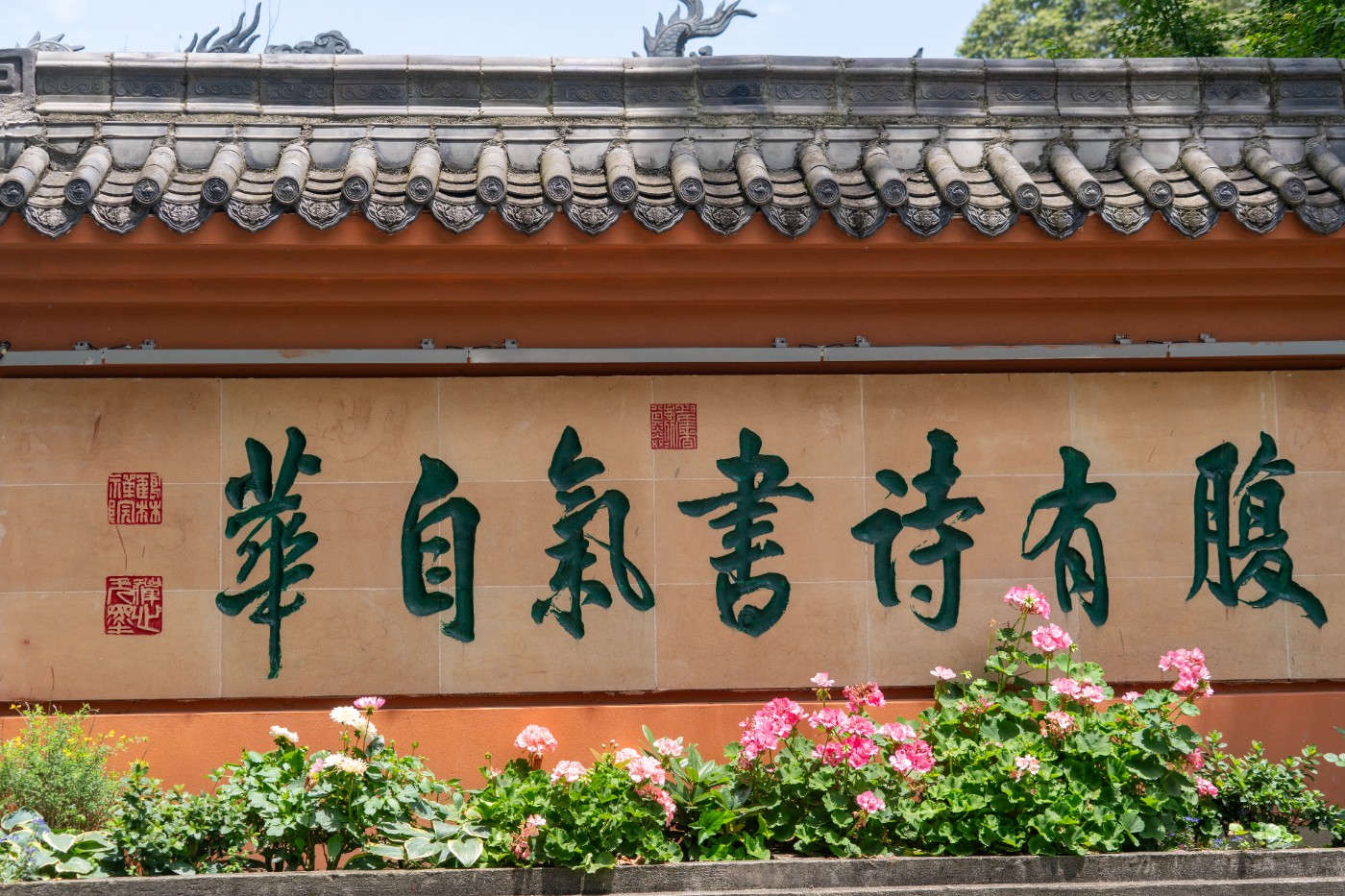 DSC01870.jpg