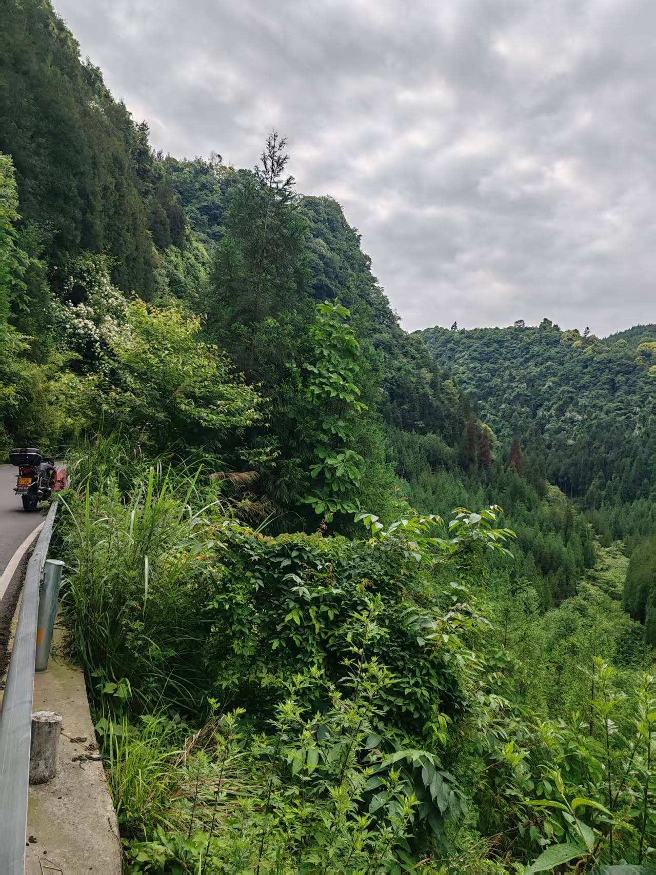 ΢��ͼƬ_20260606112521_1920_2.jpg