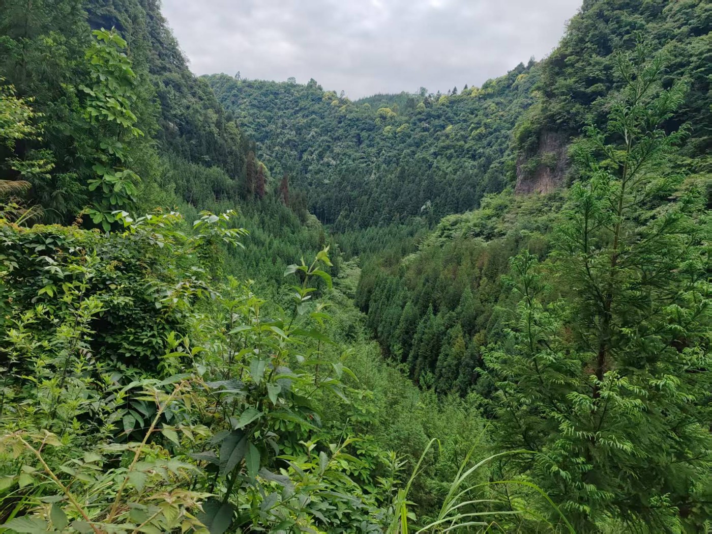 ΢��ͼƬ_20260606112523_1923_2.jpg