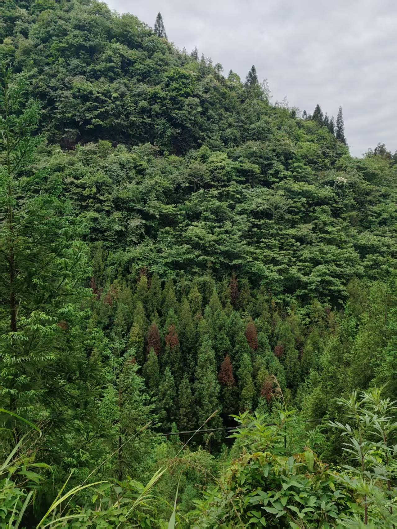 ΢��ͼƬ_20260606112524_1924_2.jpg
