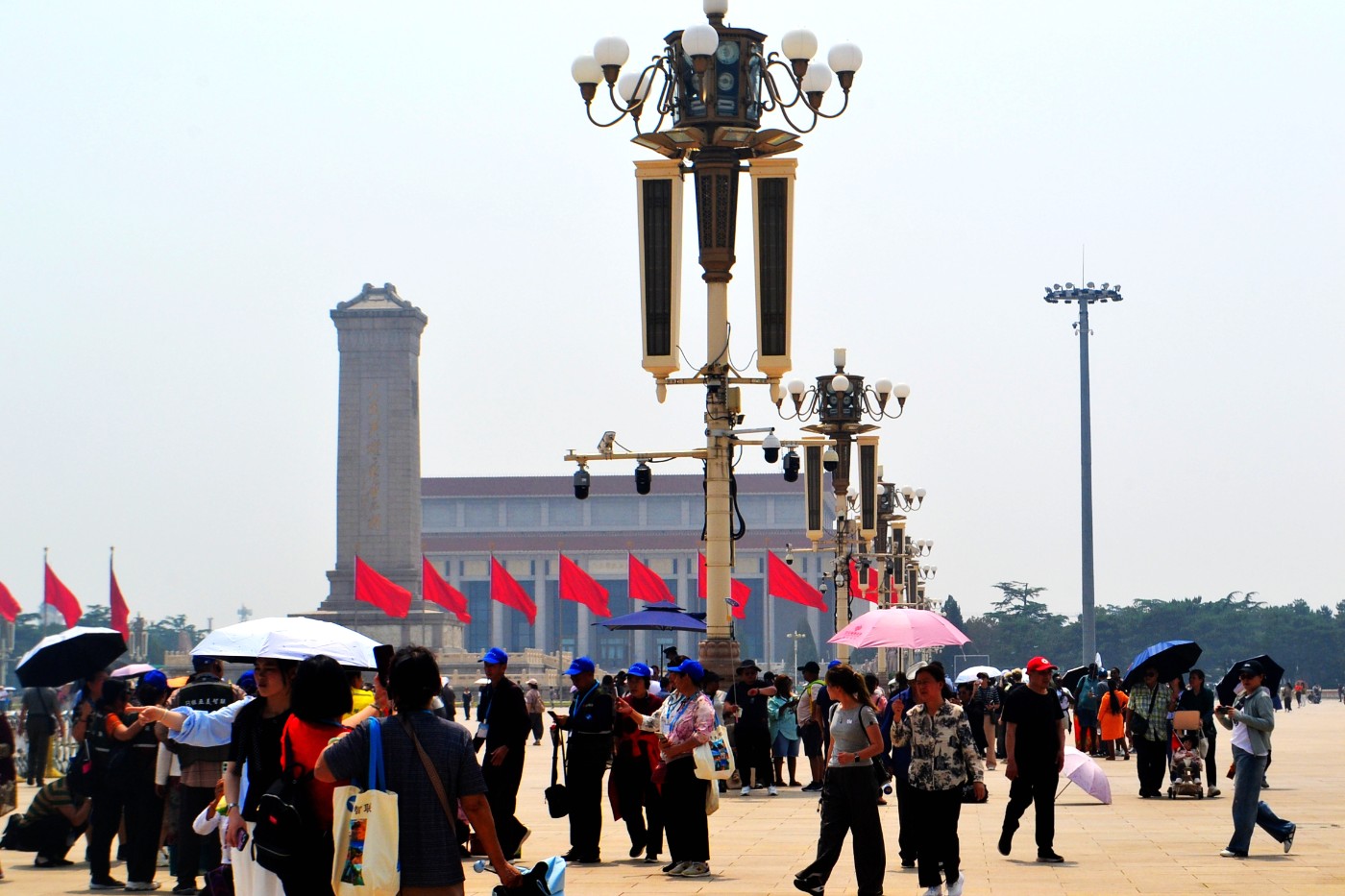 DSC_7989.JPG
