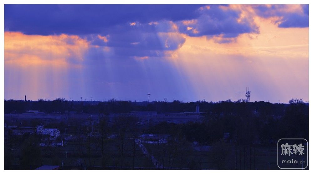 DSC_5314.jpg