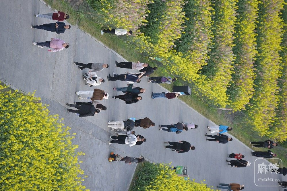 DSC_5304.jpg