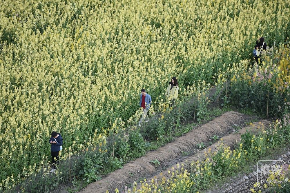 DSC_5308.jpg