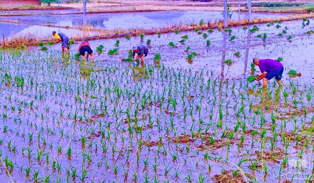 6391641870533115973627269.png