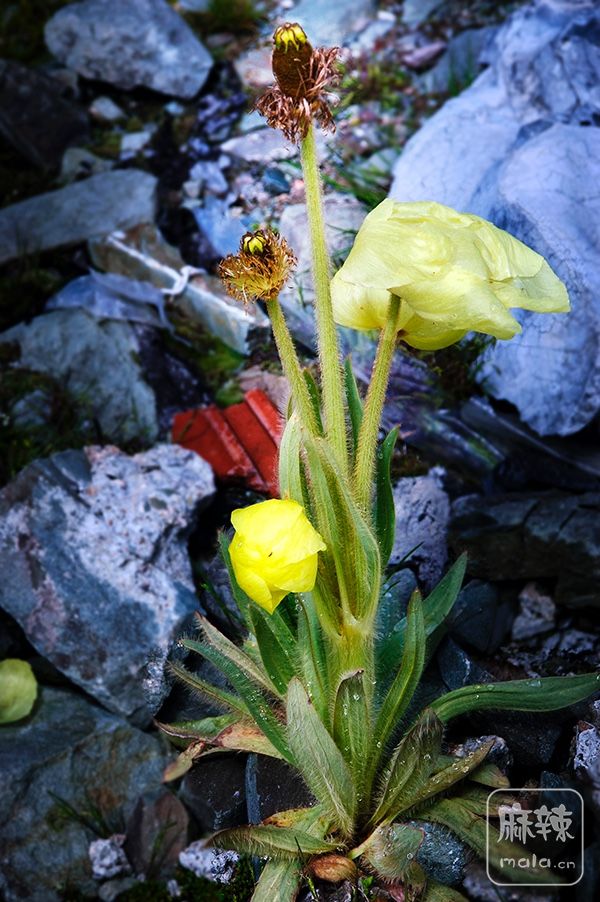 DSC_0830.jpg
