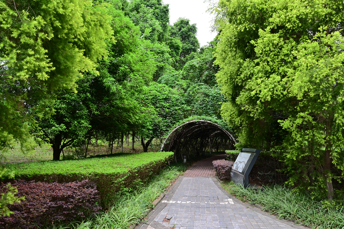 DSC_3665_����.jpg