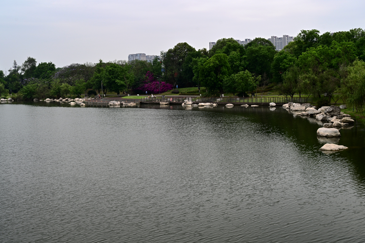 DSC_3716_����.jpg