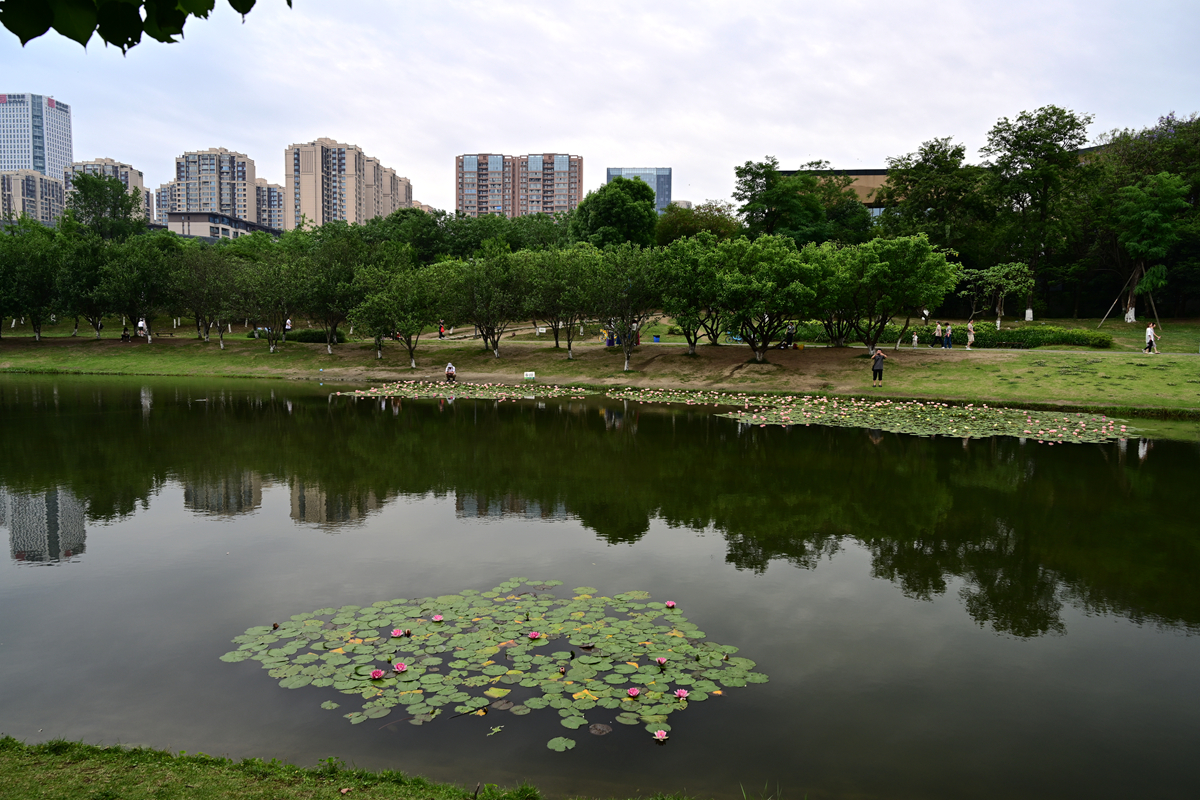 DSC_3742_����.jpg