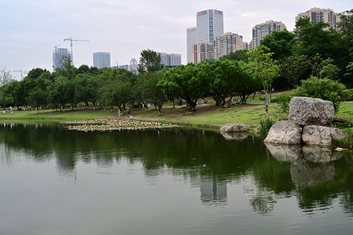 DSC_3755_����.jpg