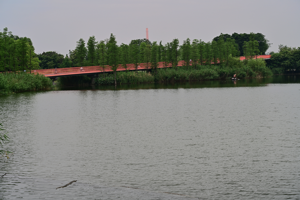 DSC_3792_����.jpg