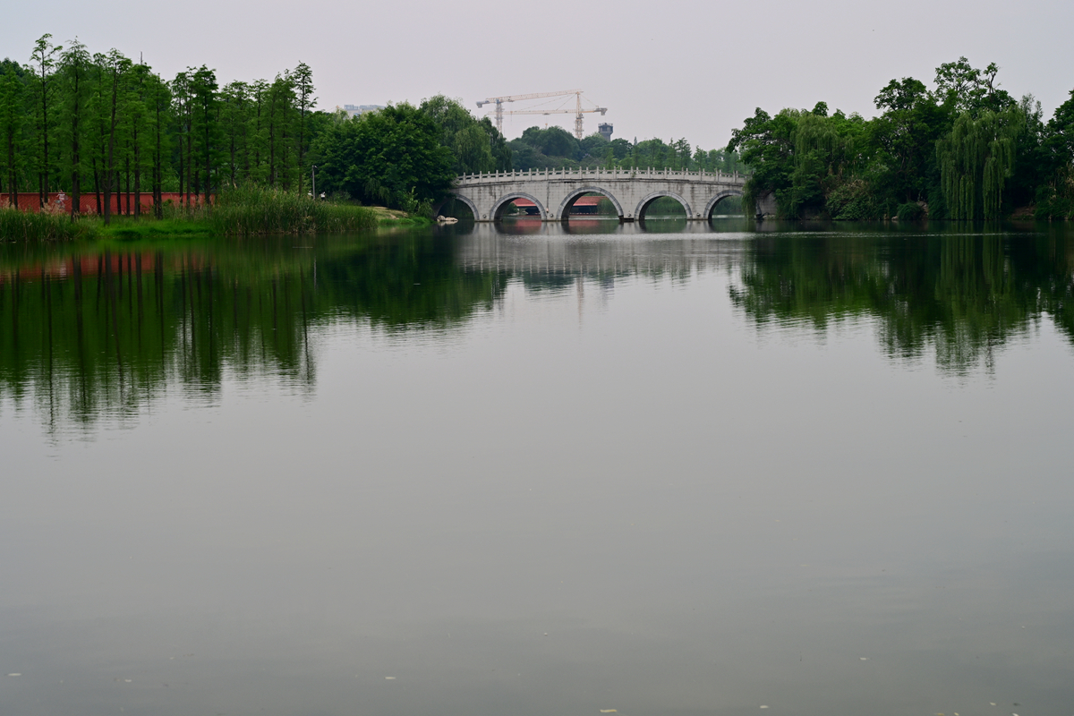 DSC_3979_����.jpg