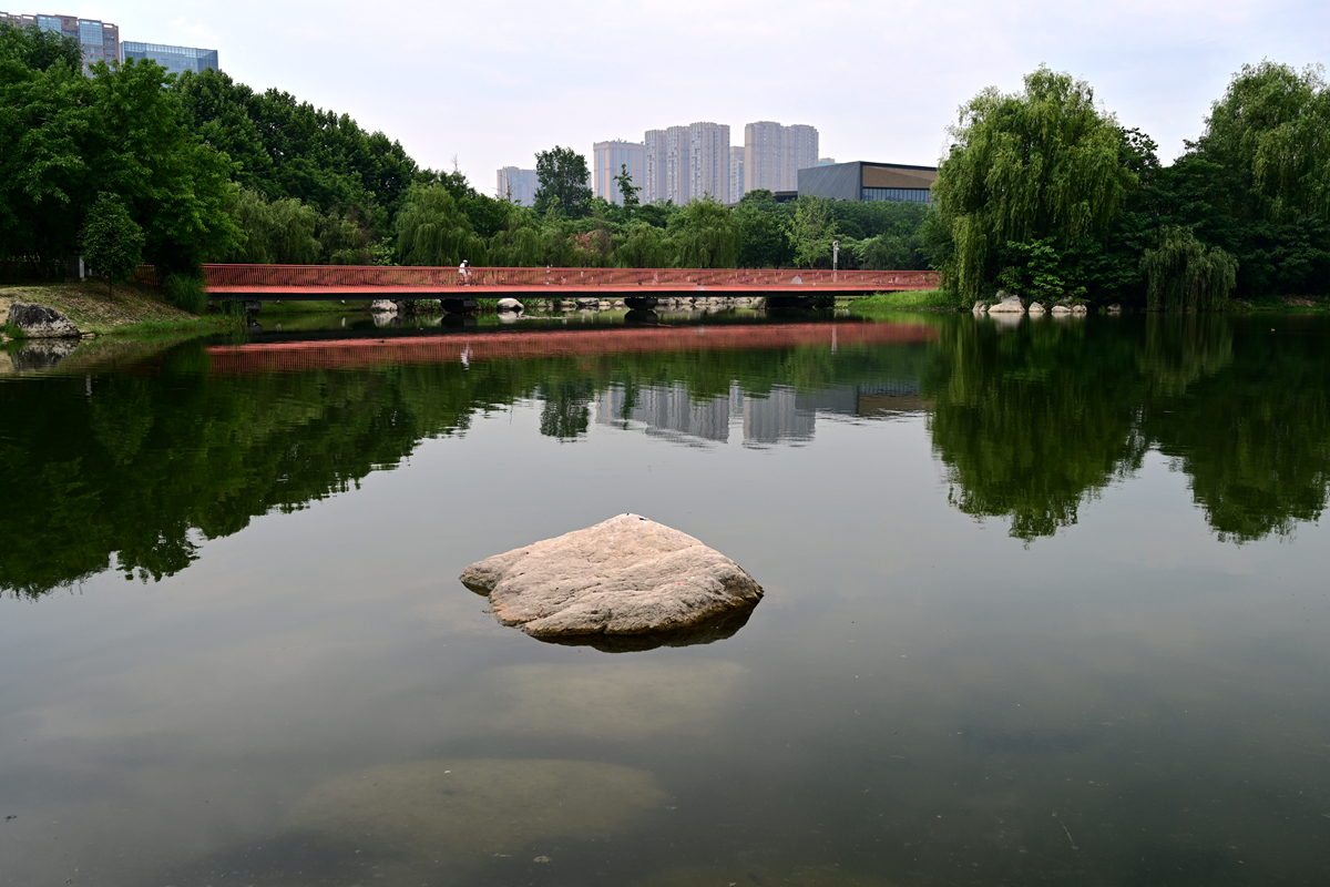 DSC_4003_����.jpg