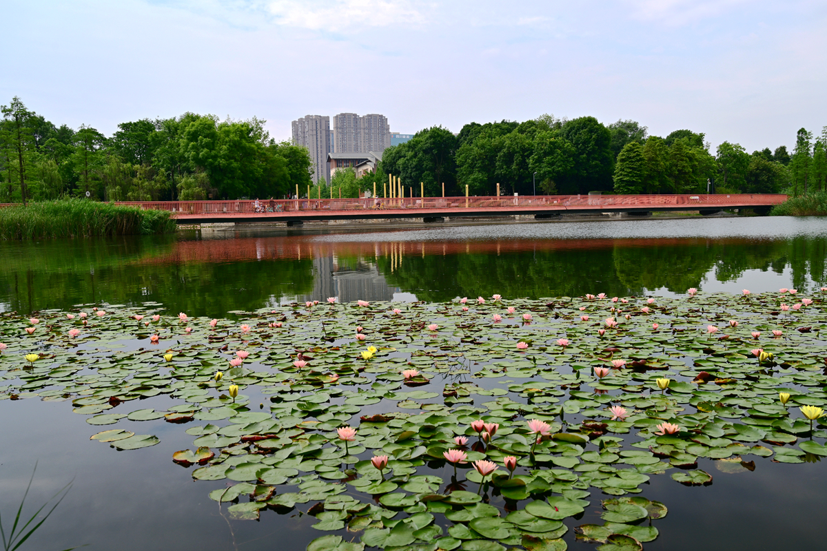 DSC_4029_����.jpg