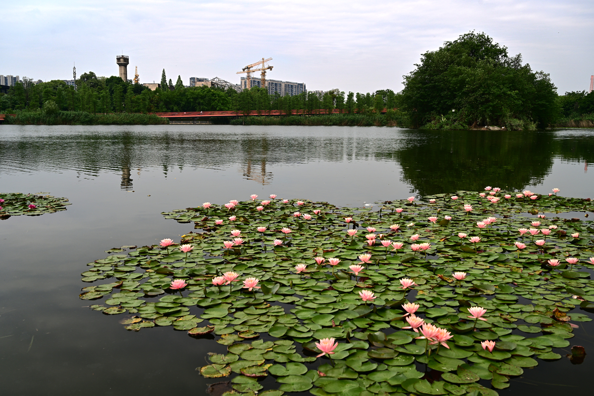 DSC_4038_����.jpg