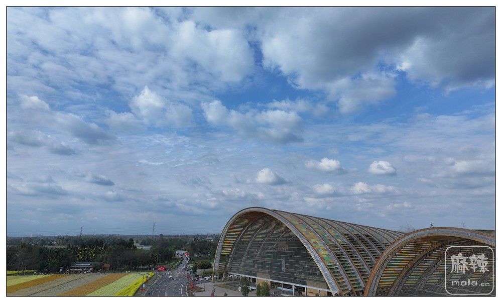 PANO0008.jpg
