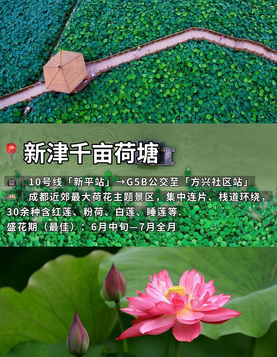 image_4.jpg