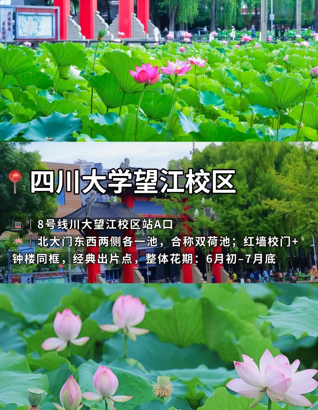 image_6.jpg