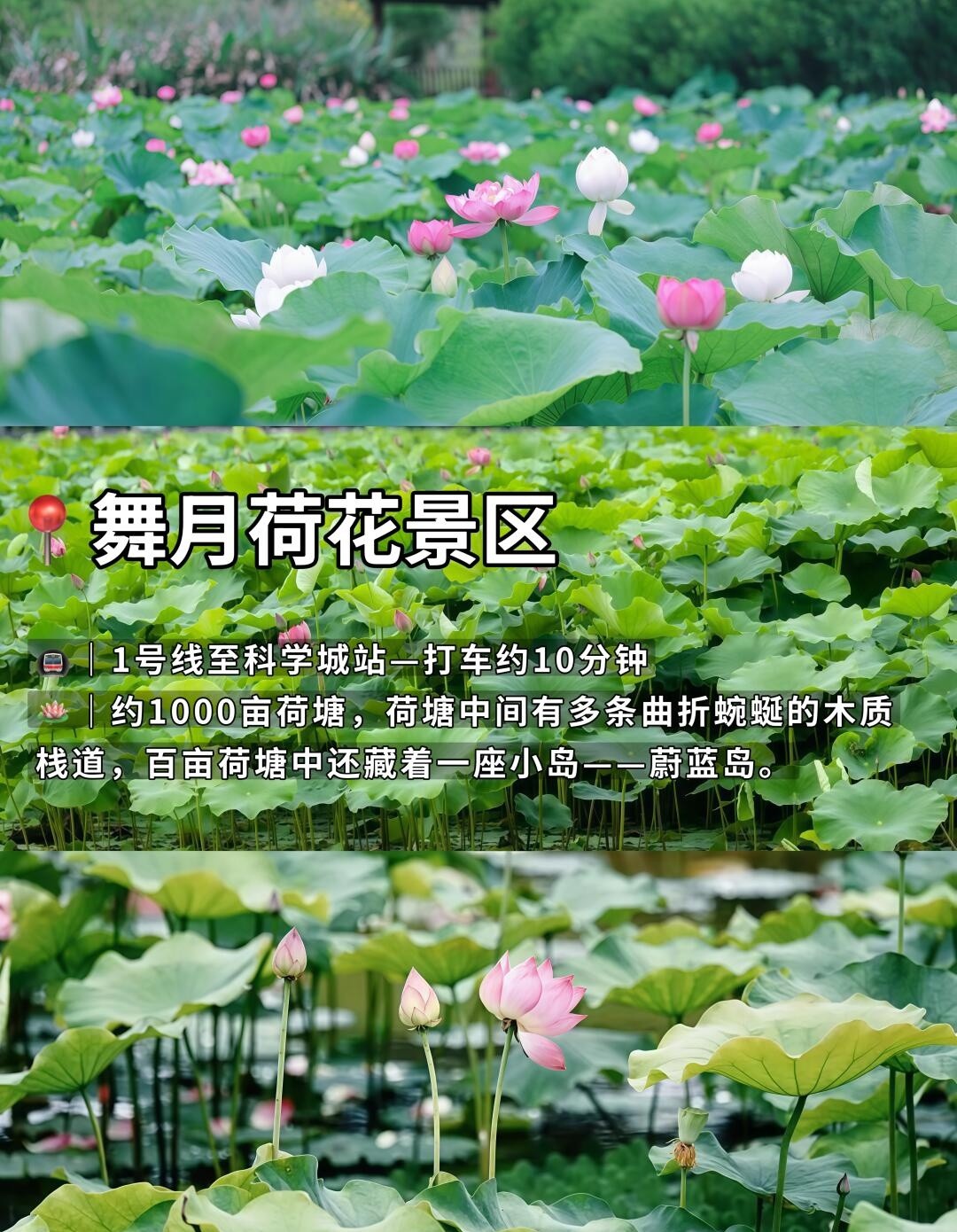 image_5.jpg