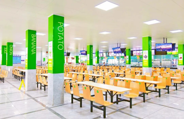 ʦ�ϳ�����3074.png