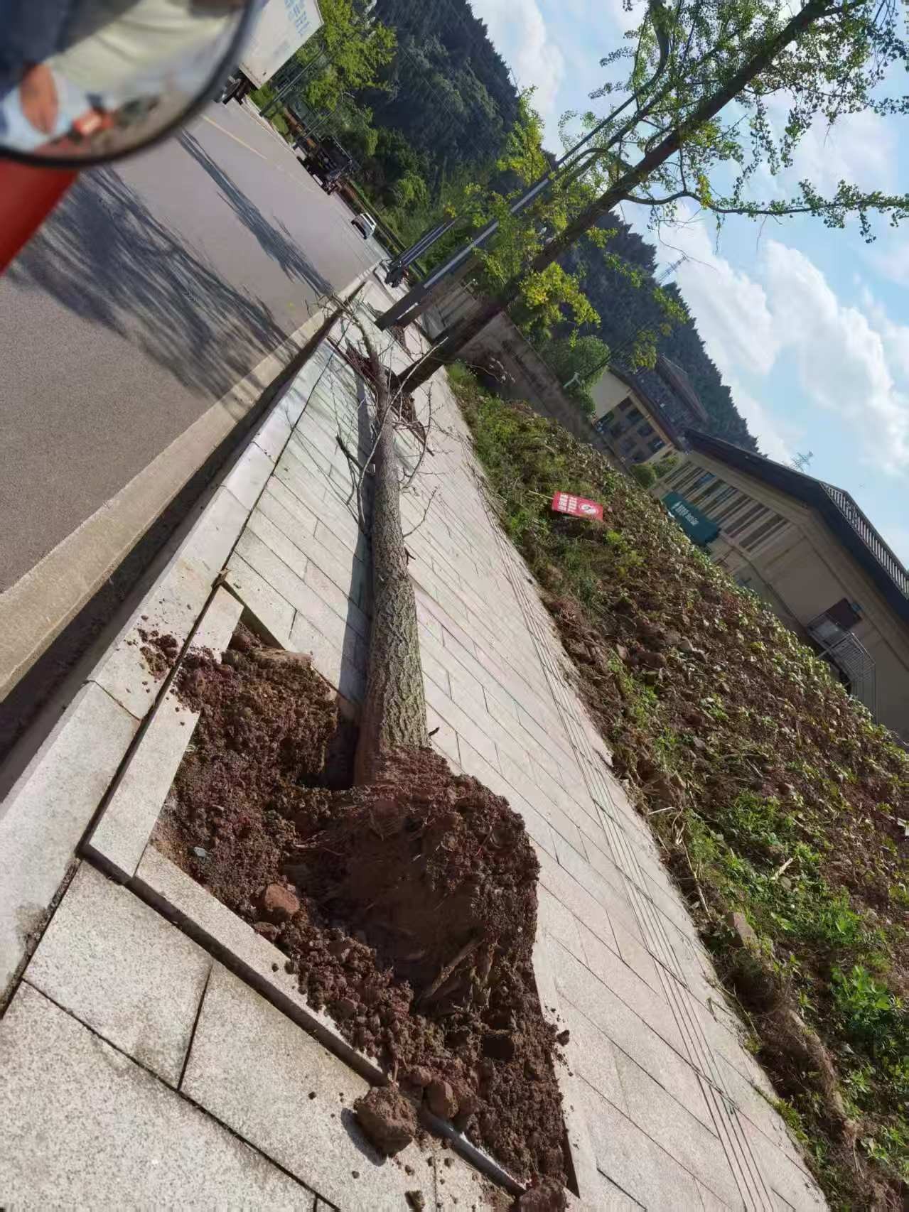΢��ͼƬ_20260609174552_317_547.jpg