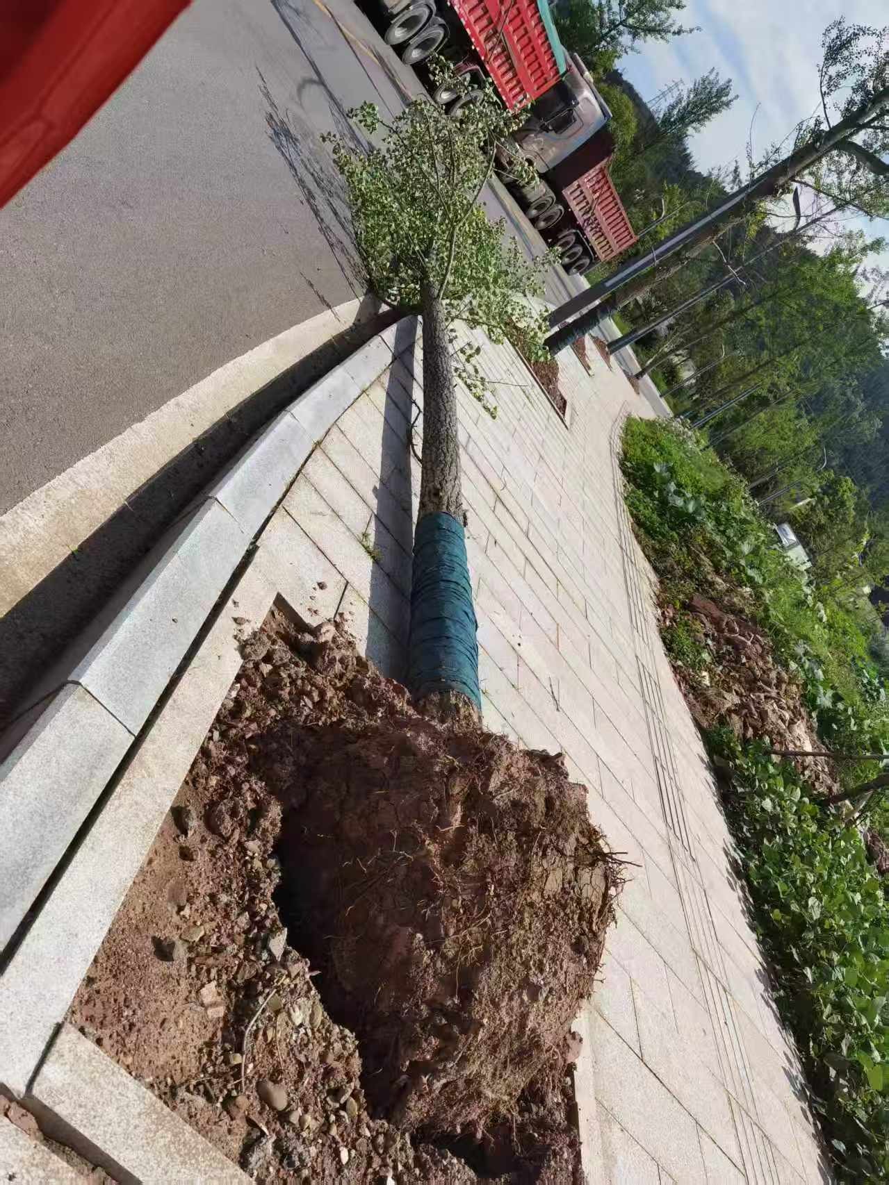 ΢��ͼƬ_20260609174553_319_547.jpg
