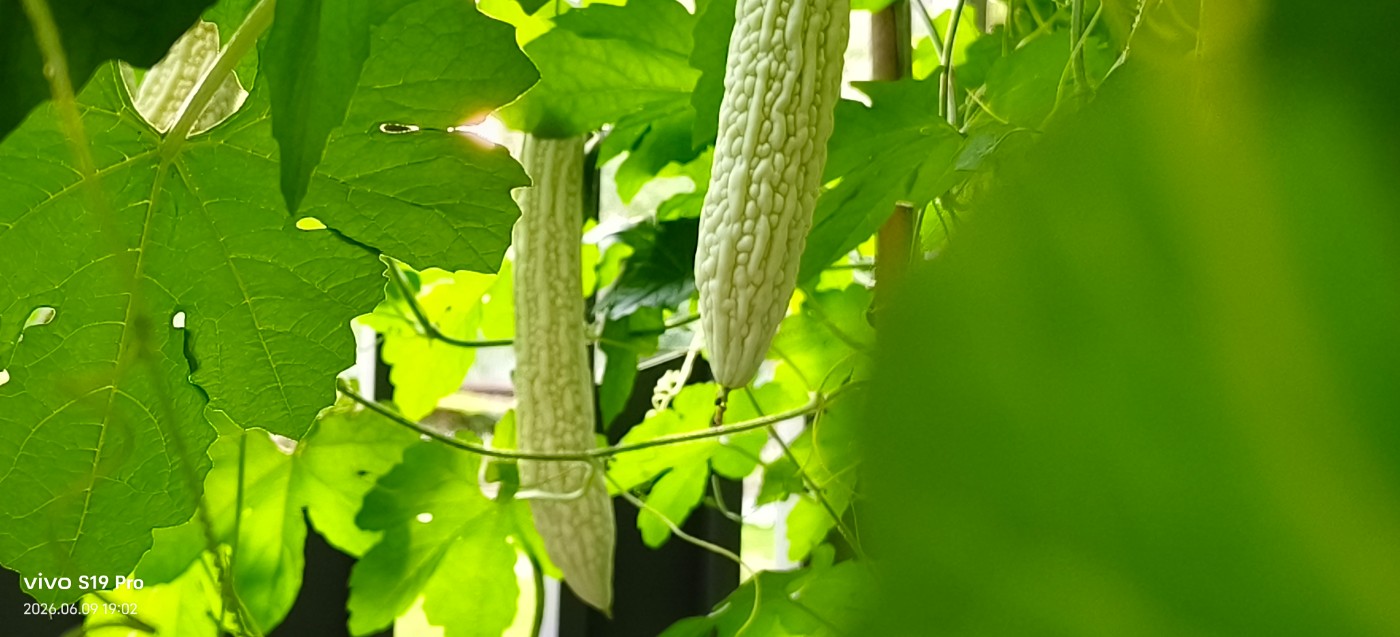 ΢��ͼƬ_20260610114851.jpg