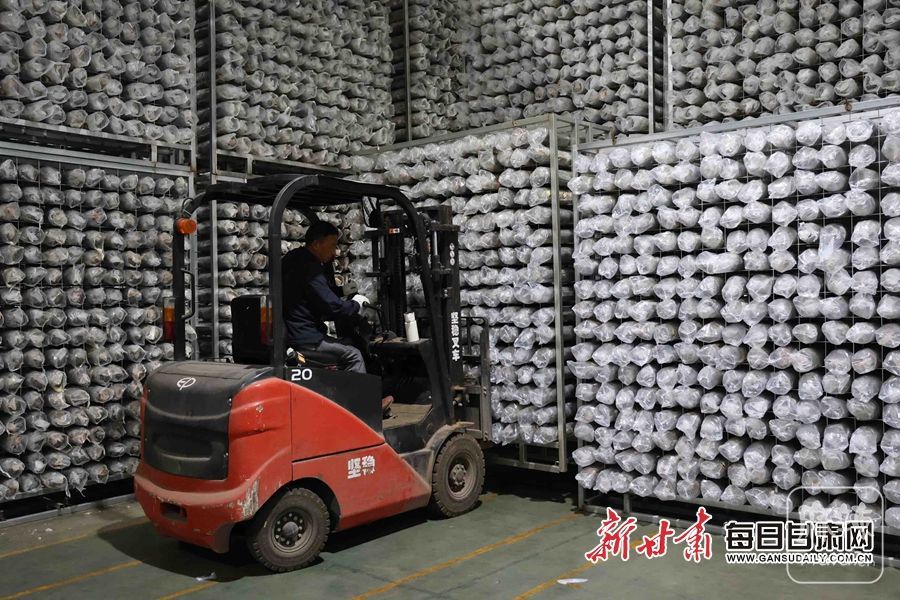 00302207236_d7af8e66.jpg