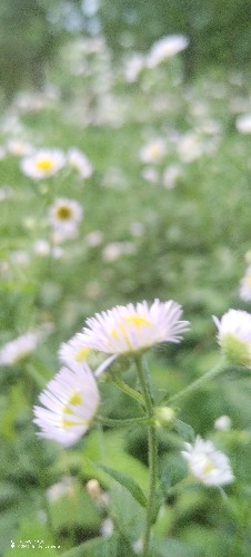 IMG_20260609_193209.jpg