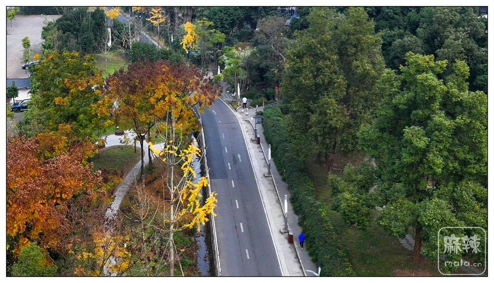 dji_export_20251210_175156_1765360316786_sphere_screenshot.jpg