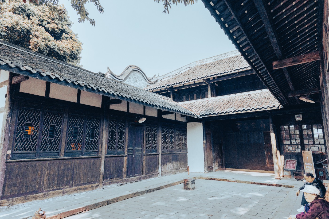 ZXC_6042_1.JPG