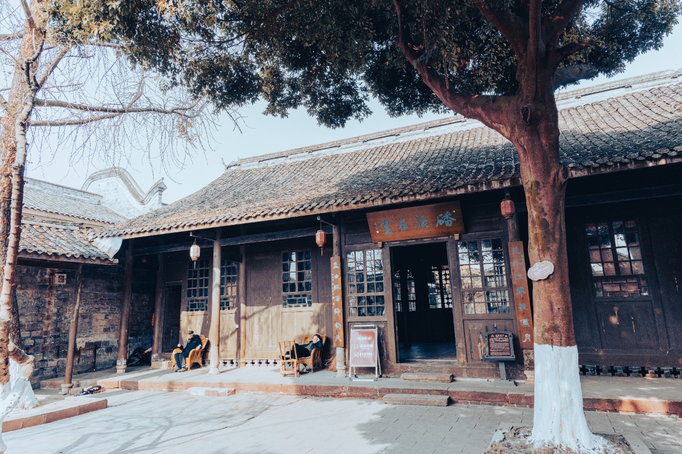 ZXC_6043_1.JPG