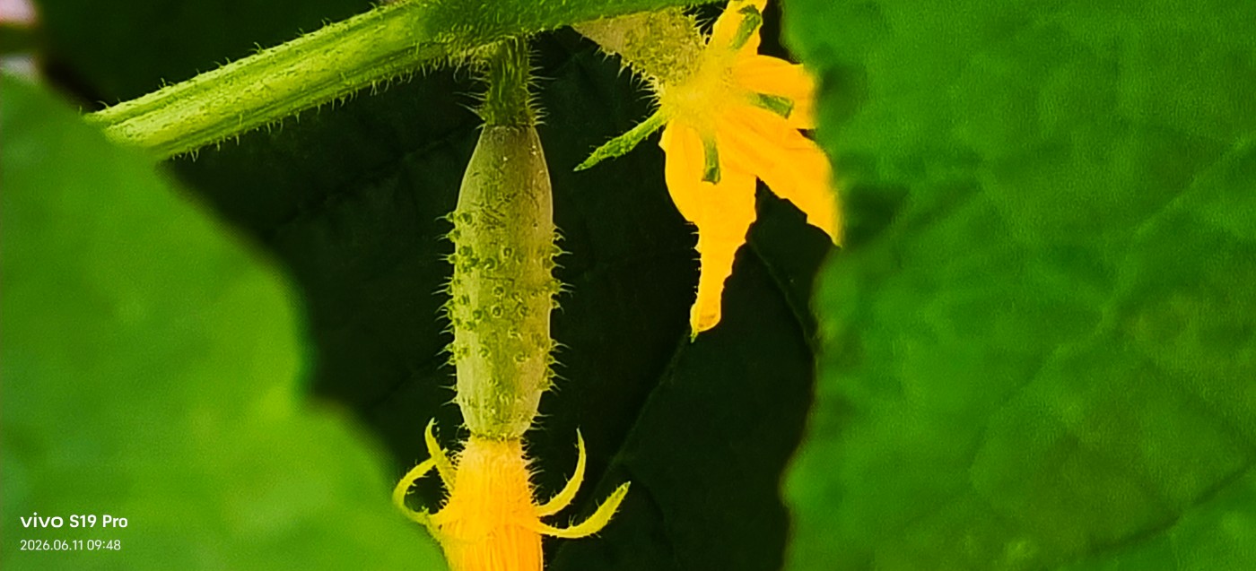 ΢��ͼƬ_20260611095230.jpg