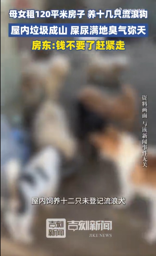 8.png
