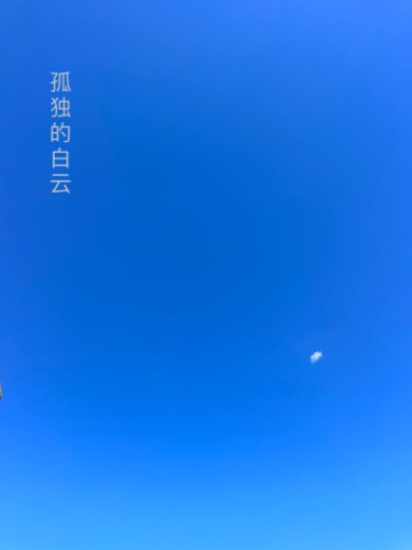 c80a65d6ddfc6c5a95b25bf7f9c267d3.jpg