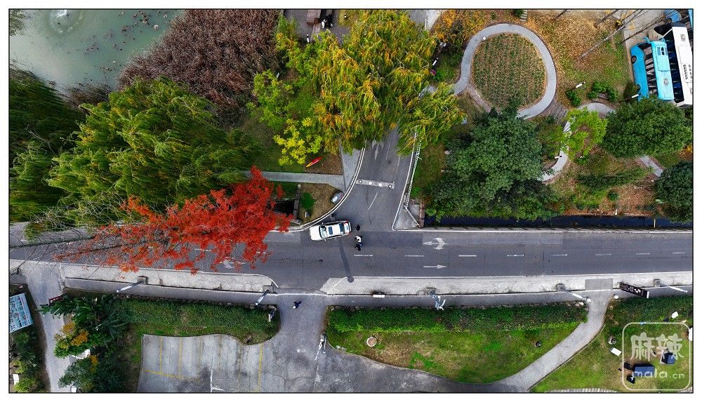 dji_export_20251210_175345_1765360425525_sphere_screenshot.jpg