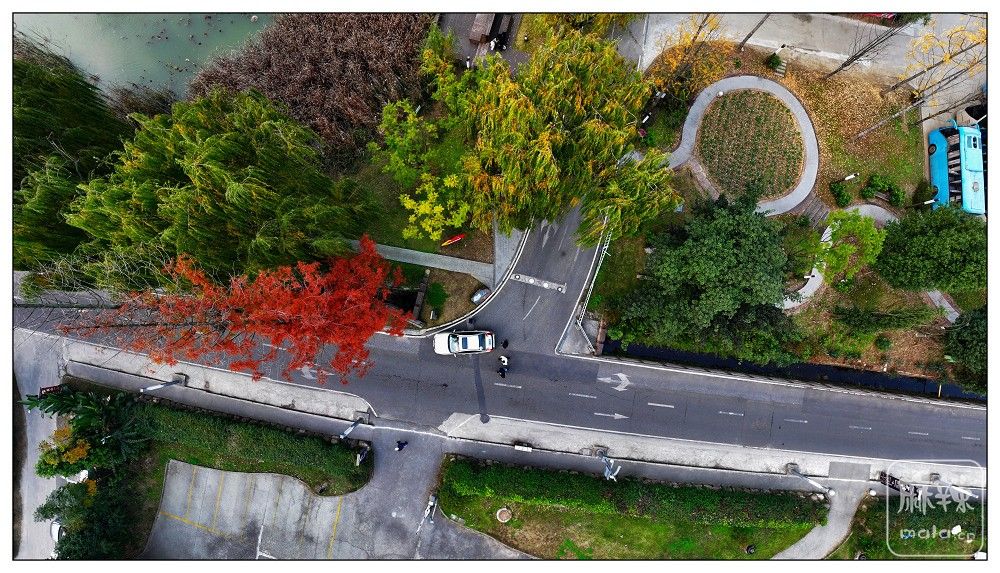 dji_export_20251210_175639_1765360599115_sphere_screenshot.jpg