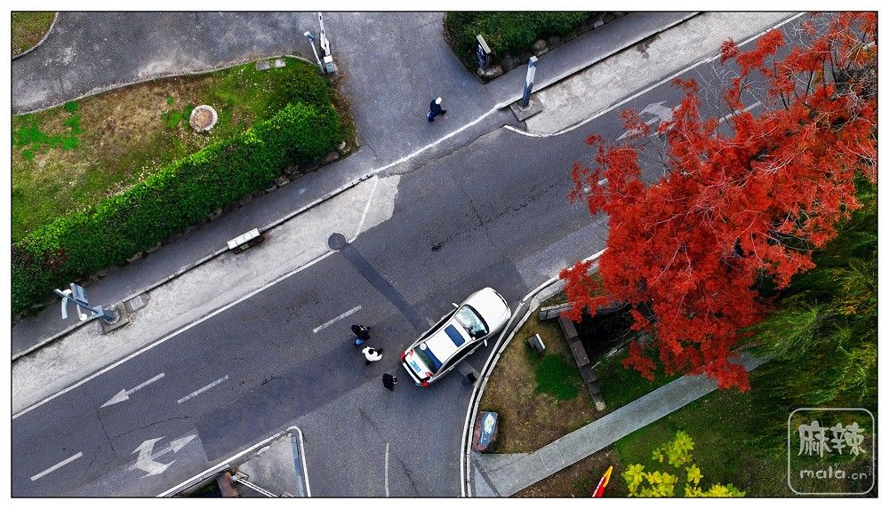 dji_export_20251210_180006_1765360806508_sphere_screenshot.jpg