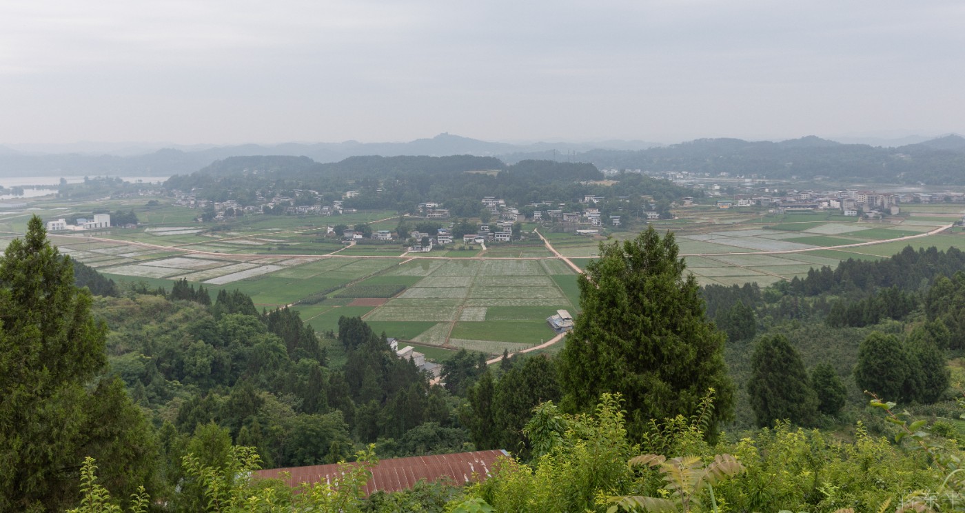 3B1A8066.jpg