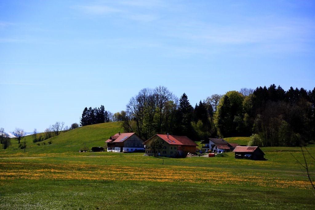 L_JY6379_����.jpg