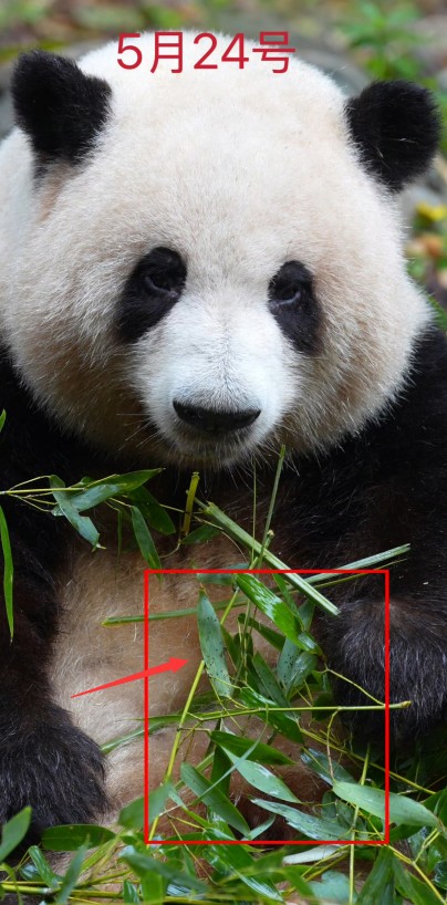 4.png