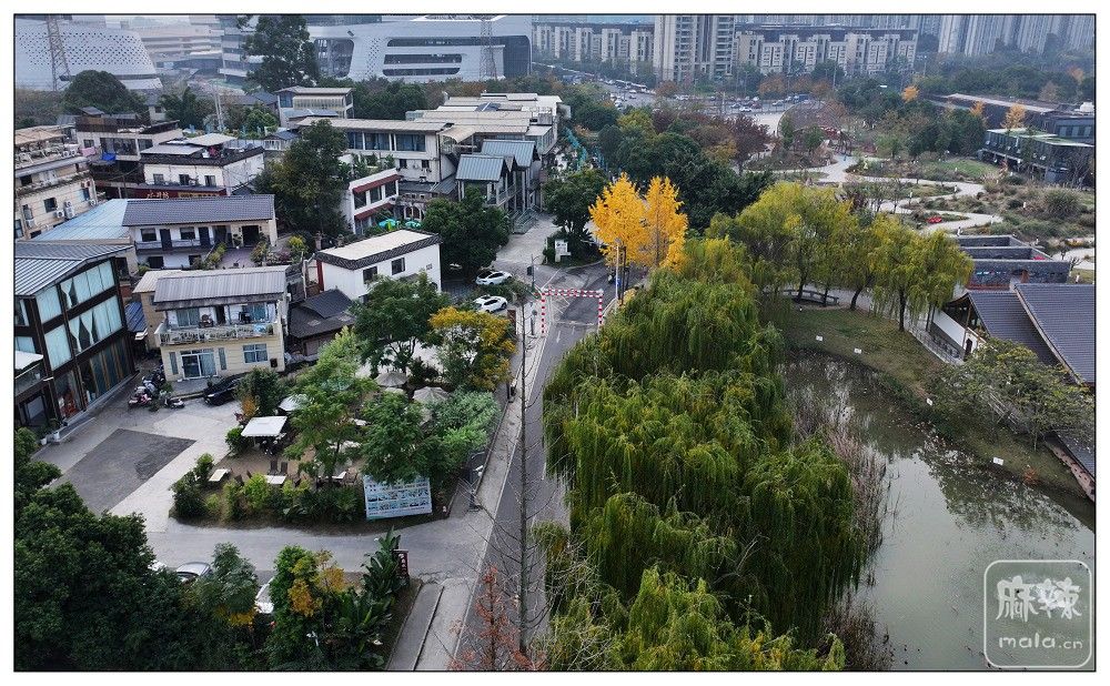 PANO0006.jpg