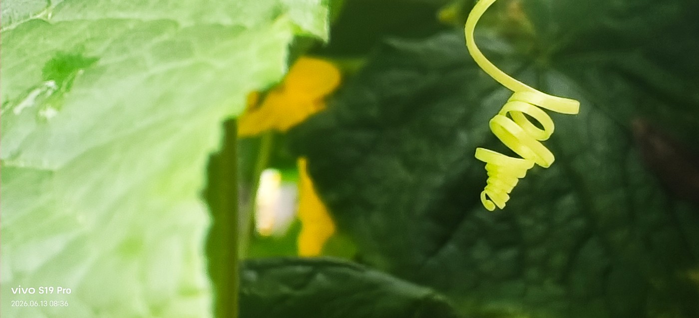 ΢��ͼƬ_20260613091009.jpg