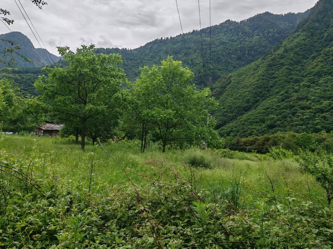 ΢��ͼƬ_20260614130726_1979_2.jpg
