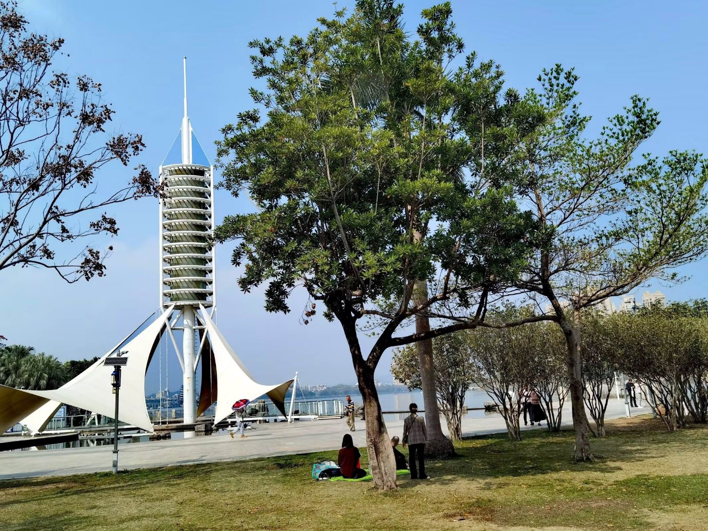 psc (10).jpg