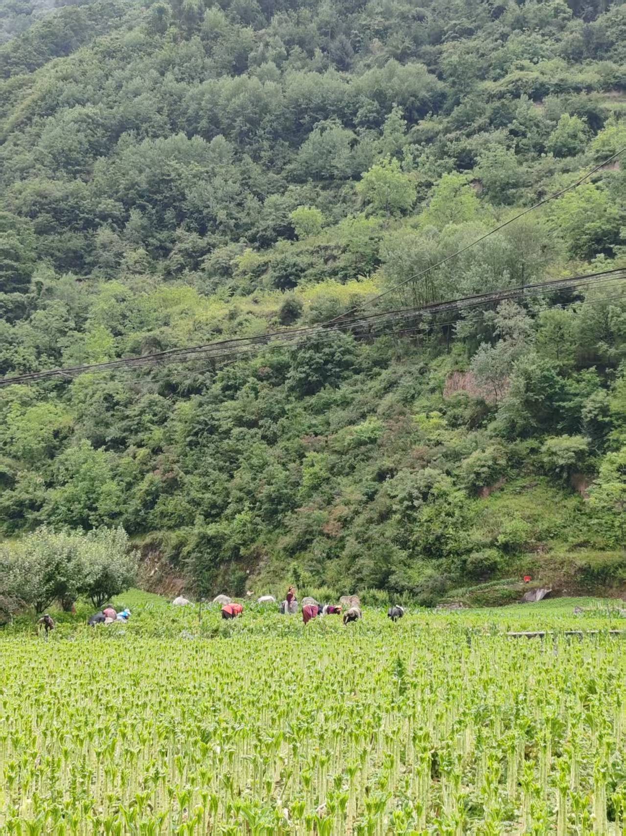 ΢��ͼƬ_20260614133906_2070_2.jpg