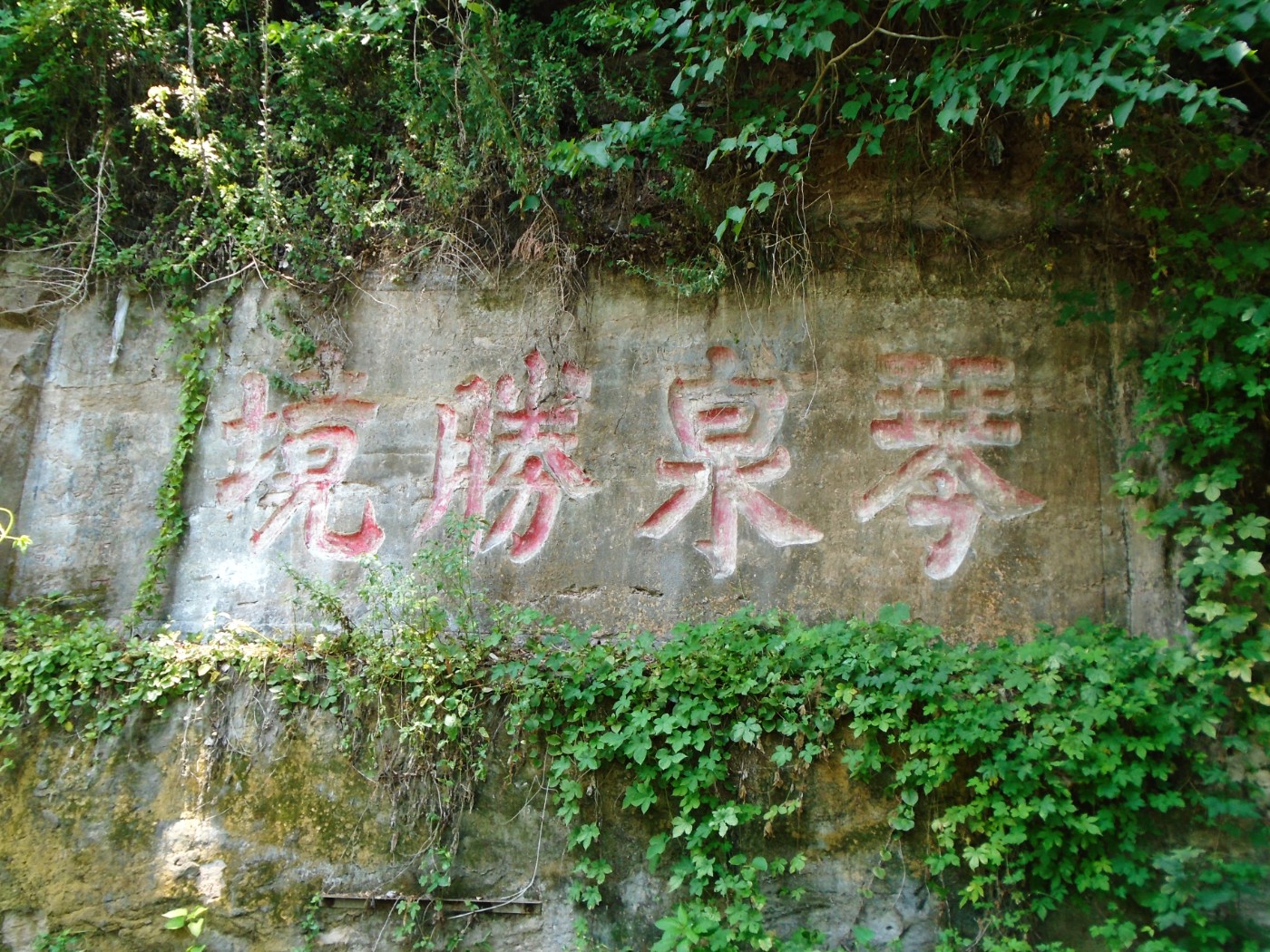DSC01717.JPG