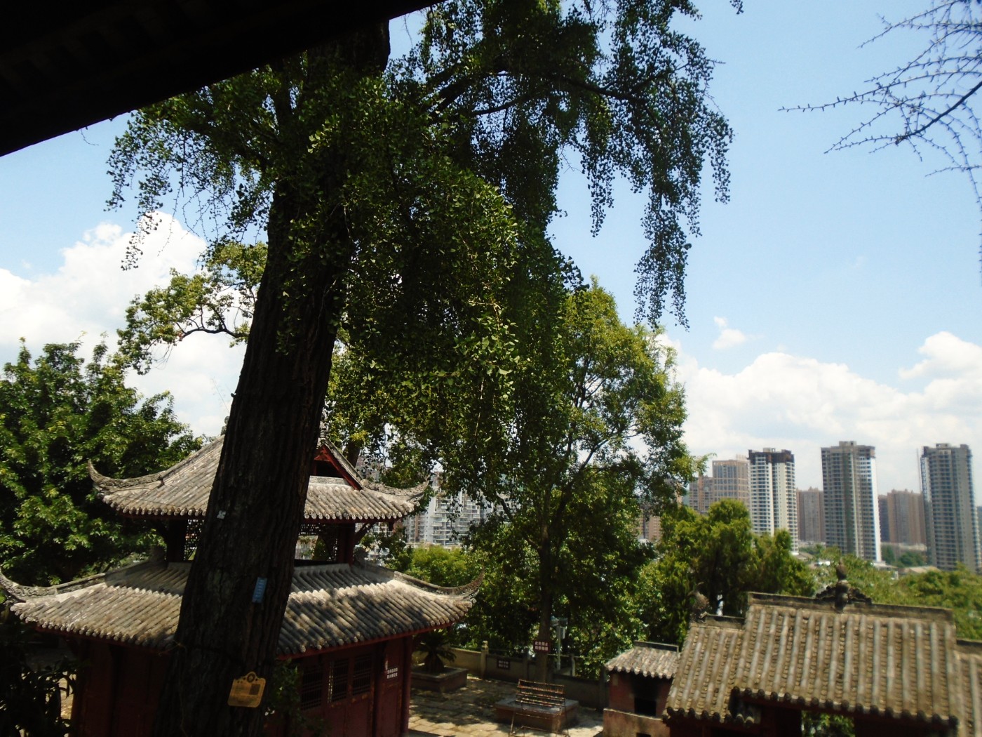 DSC01726.JPG